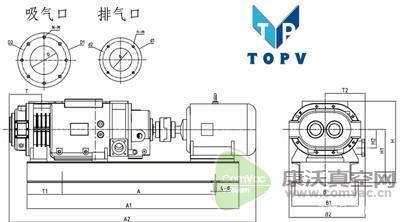 干式螺桿真空泵工作原理及結(jié)構(gòu)圖