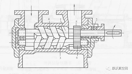 螺桿泵的工作原理